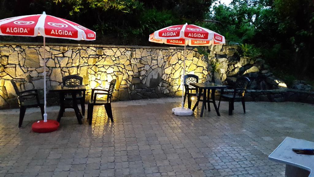 Lasha Guest House Makhinjauri Oda fotoğraf